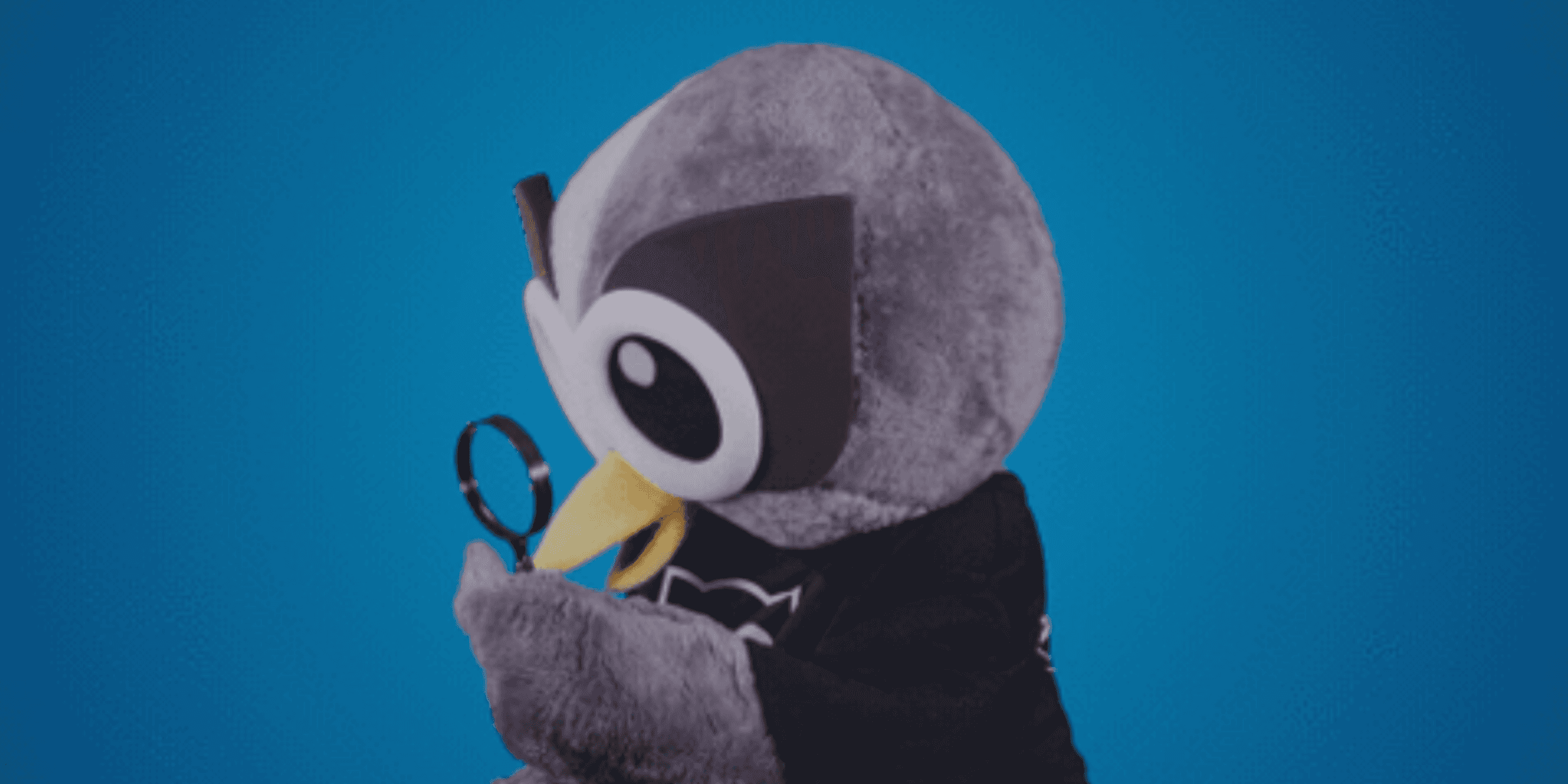 Header image for this blog post